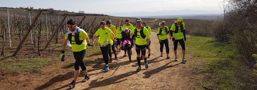 Trail du Petit Ballon : La 16eme - Alsace