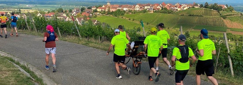 Les Perles du Vignoble - Alsace